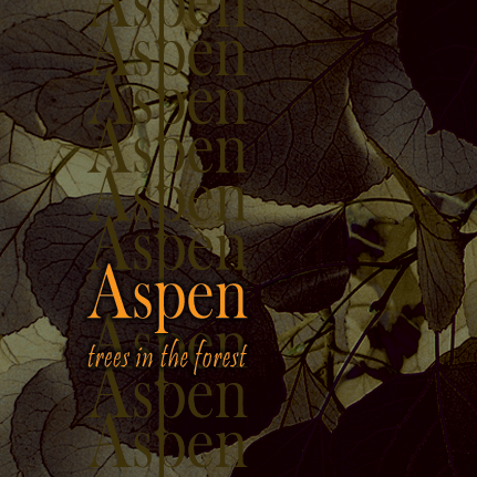 Aspen: Trees in the forest - music CD cover